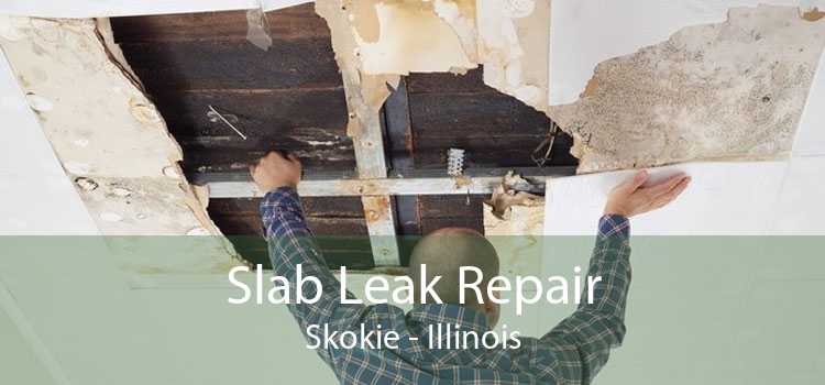 Slab Leak Repair Skokie - Illinois
