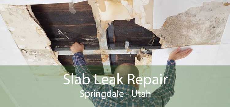 Slab Leak Repair Springdale - Utah