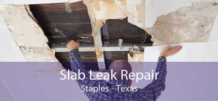 Slab Leak Repair Staples - Texas