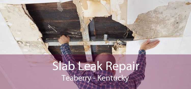 Slab Leak Repair Teaberry - Kentucky