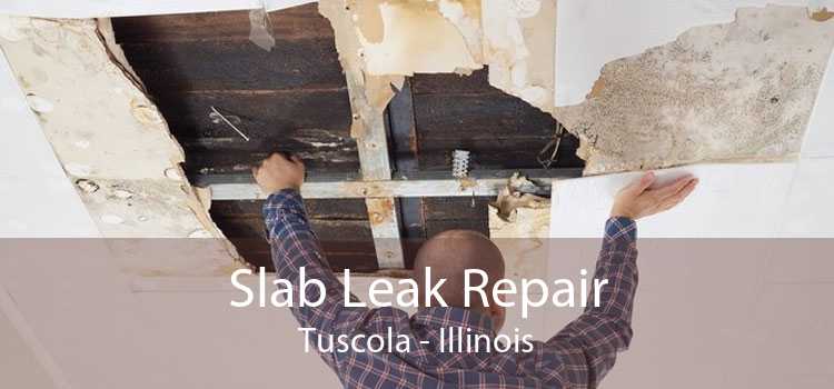 Slab Leak Repair Tuscola - Illinois