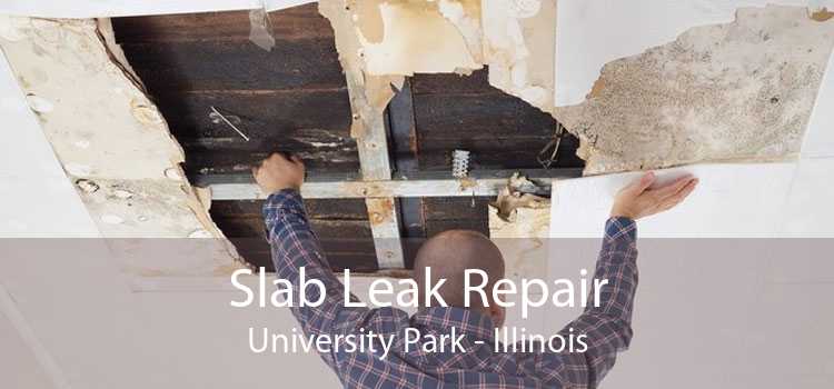 Slab Leak Repair University Park - Illinois