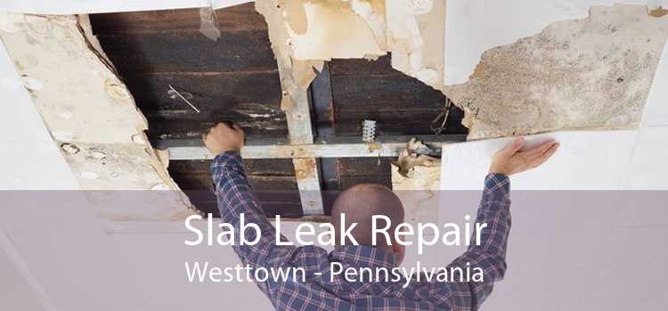 Slab Leak Repair Westtown - Pennsylvania