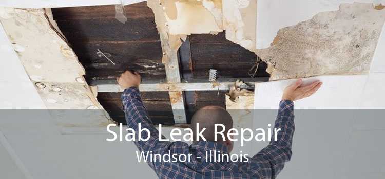Slab Leak Repair Windsor - Illinois