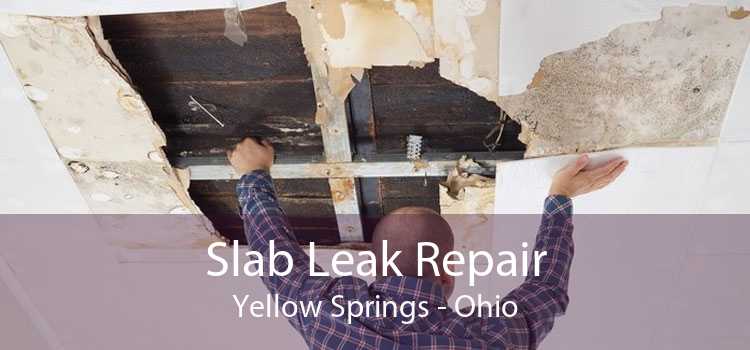 Slab Leak Repair Yellow Springs - Ohio