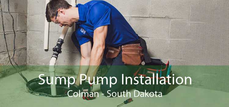 Sump Pump Installation Colman - South Dakota