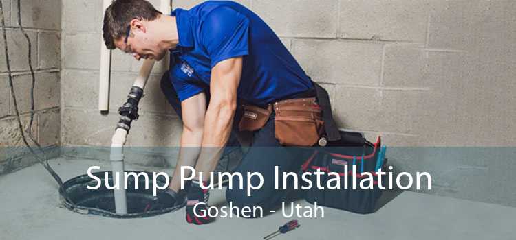 Sump Pump Installation Goshen - Utah