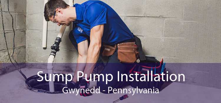 Sump Pump Installation Gwynedd - Pennsylvania