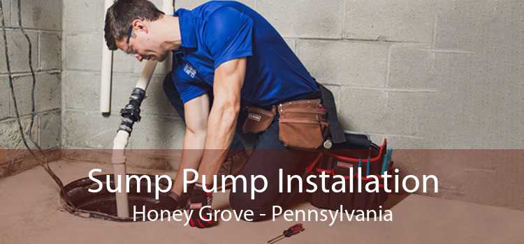 Sump Pump Installation Honey Grove - Pennsylvania