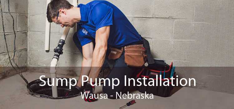Sump Pump Installation Wausa - Nebraska