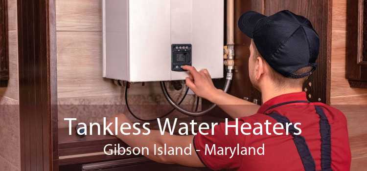 Tankless Water Heaters Gibson Island - Maryland