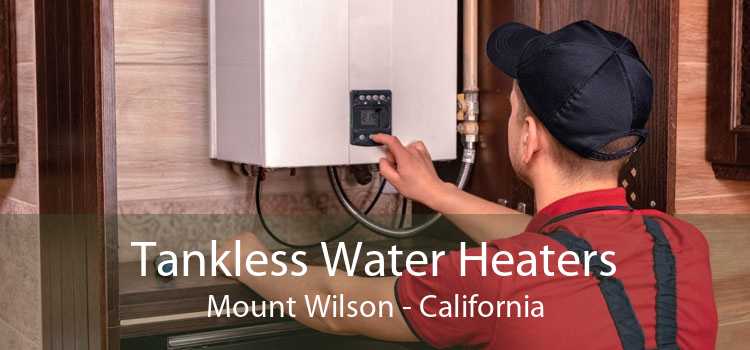 Tankless Water Heaters Mount Wilson - California