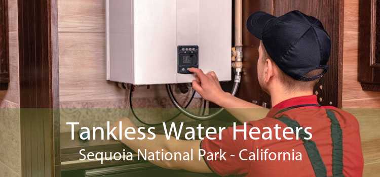 Tankless Water Heaters Sequoia National Park - California