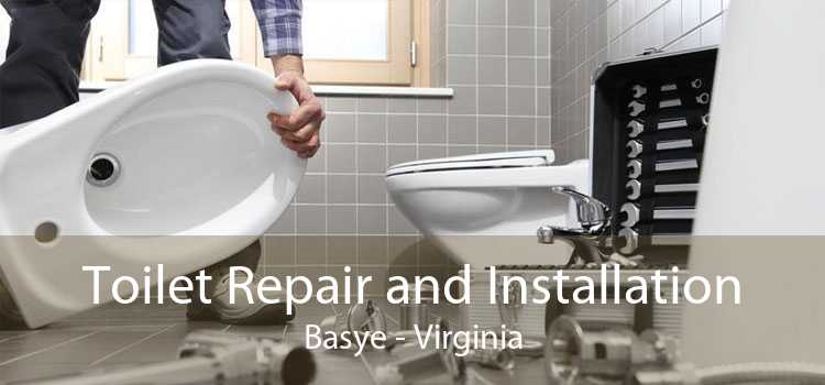 Toilet Repair and Installation Basye - Virginia