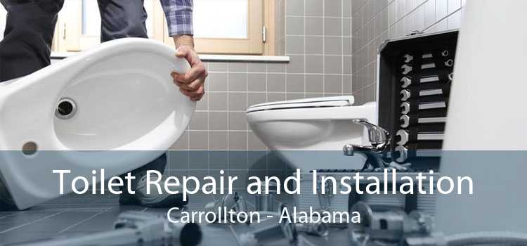 Toilet Repair and Installation Carrollton - Alabama