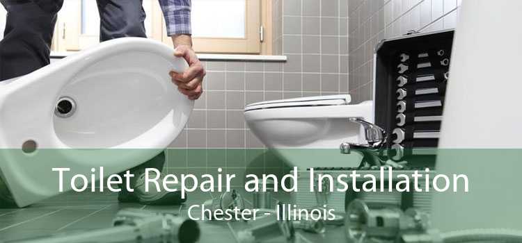 Toilet Repair and Installation Chester - Illinois