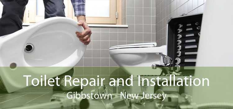 Toilet Repair and Installation Gibbstown - New Jersey