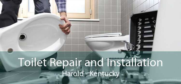 Toilet Repair and Installation Harold - Kentucky