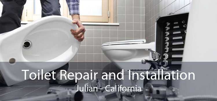 Toilet Repair and Installation Julian - California