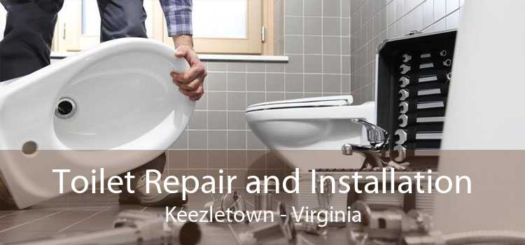Toilet Repair and Installation Keezletown - Virginia