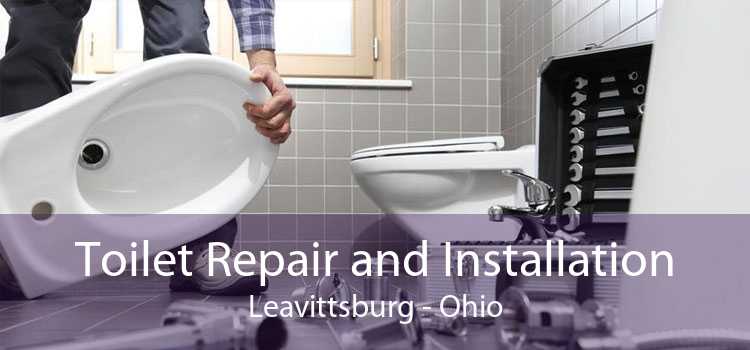 Toilet Repair and Installation Leavittsburg - Ohio