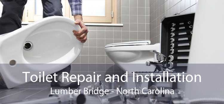 Toilet Repair and Installation Lumber Bridge - North Carolina