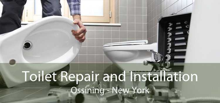 Toilet Repair and Installation Ossining - New York