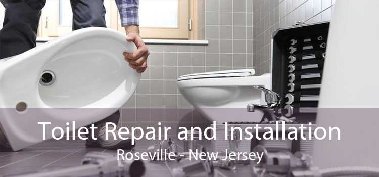 Toilet Repair and Installation Roseville - New Jersey