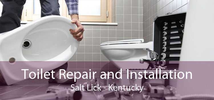 Toilet Repair and Installation Salt Lick - Kentucky