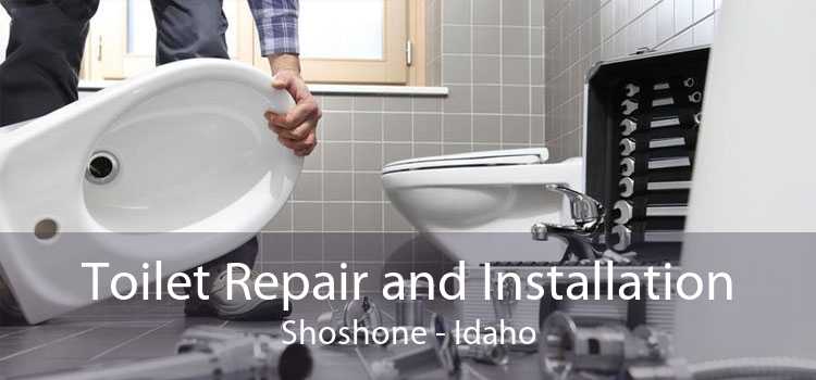 Toilet Repair and Installation Shoshone - Idaho