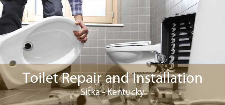 Toilet Repair and Installation Sitka - Kentucky