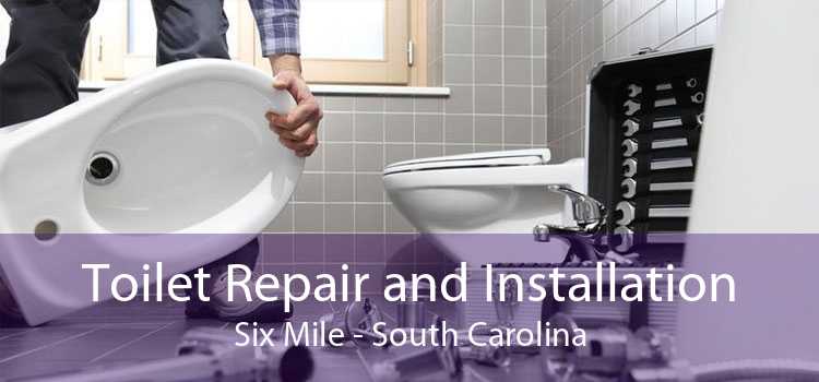 Toilet Repair and Installation Six Mile - South Carolina
