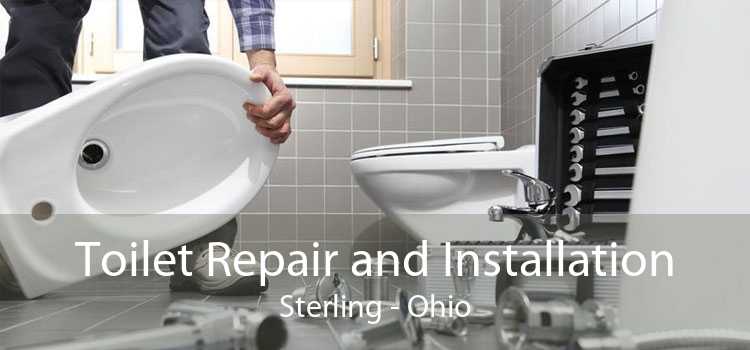 Toilet Repair and Installation Sterling - Ohio