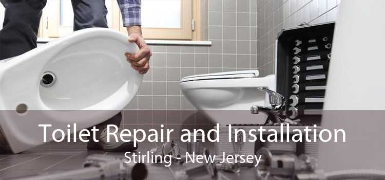 Toilet Repair and Installation Stirling - New Jersey