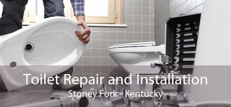 Toilet Repair and Installation Stoney Fork - Kentucky