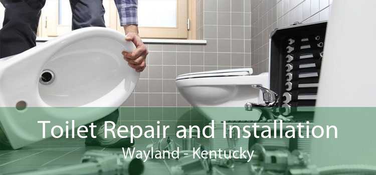 Toilet Repair and Installation Wayland - Kentucky