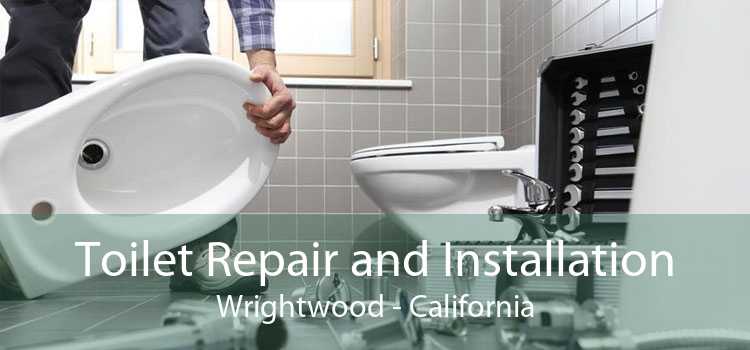 Toilet Repair and Installation Wrightwood - California