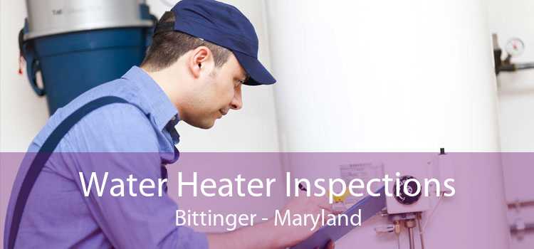 Water Heater Inspections Bittinger - Maryland