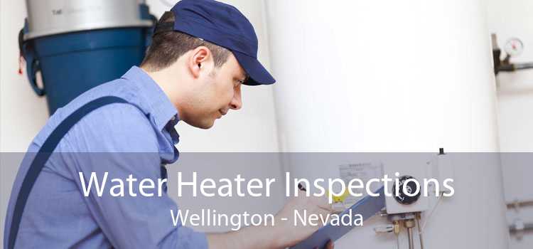 Water Heater Inspections Wellington - Nevada