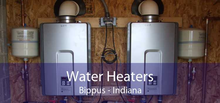 Water Heaters Bippus - Indiana