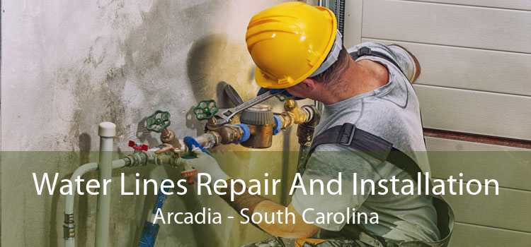 Water Lines Repair And Installation Arcadia - South Carolina