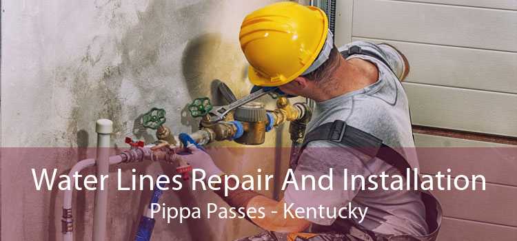 Water Lines Repair And Installation Pippa Passes - Kentucky