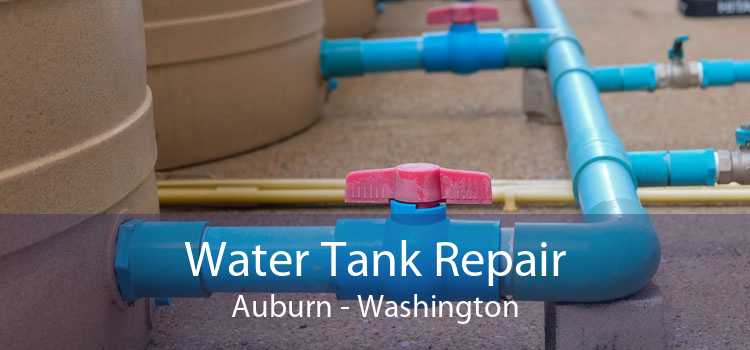 Water Tank Repair Auburn - Washington