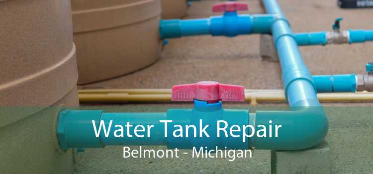 Water Tank Repair Belmont - Michigan