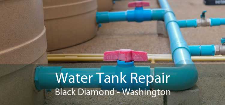 Water Tank Repair Black Diamond - Washington