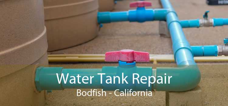 Water Tank Repair Bodfish - California