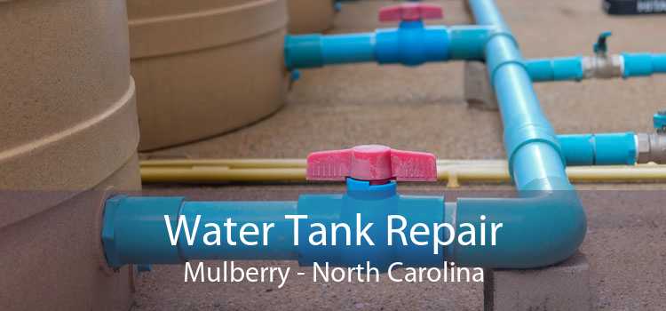 Water Tank Repair Mulberry - North Carolina