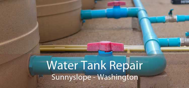 Water Tank Repair Sunnyslope - Washington