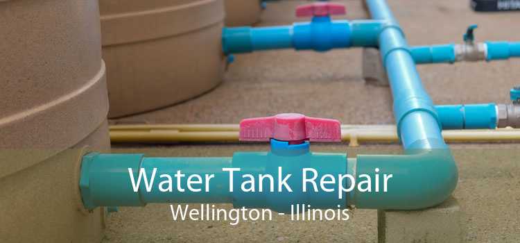 Water Tank Repair Wellington - Illinois
