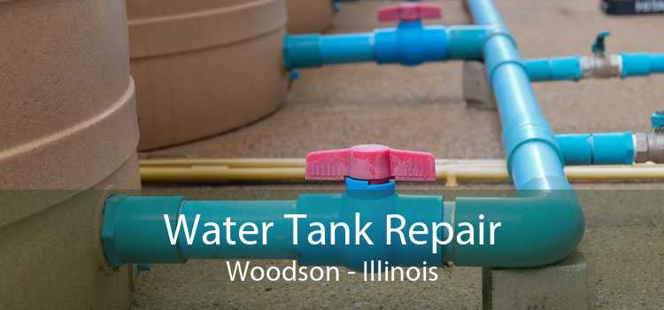Water Tank Repair Woodson - Illinois